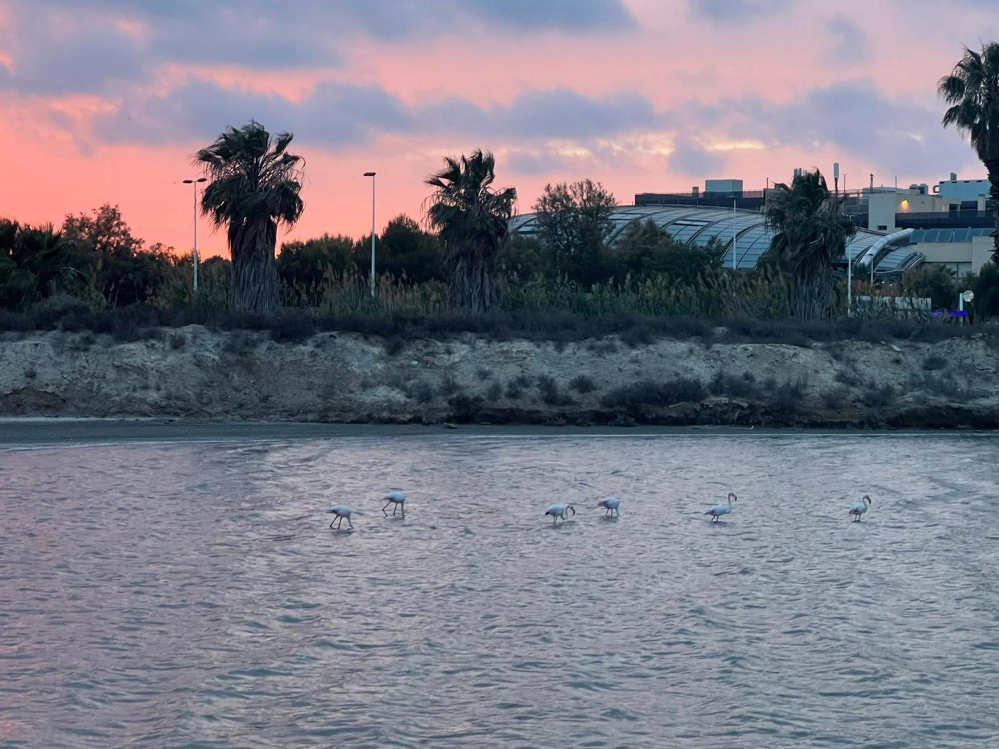 Mar Menor Paradise By Los Pinos Holidays سان بيذرو ذيل بيناتا المظهر الخارجي الصورة