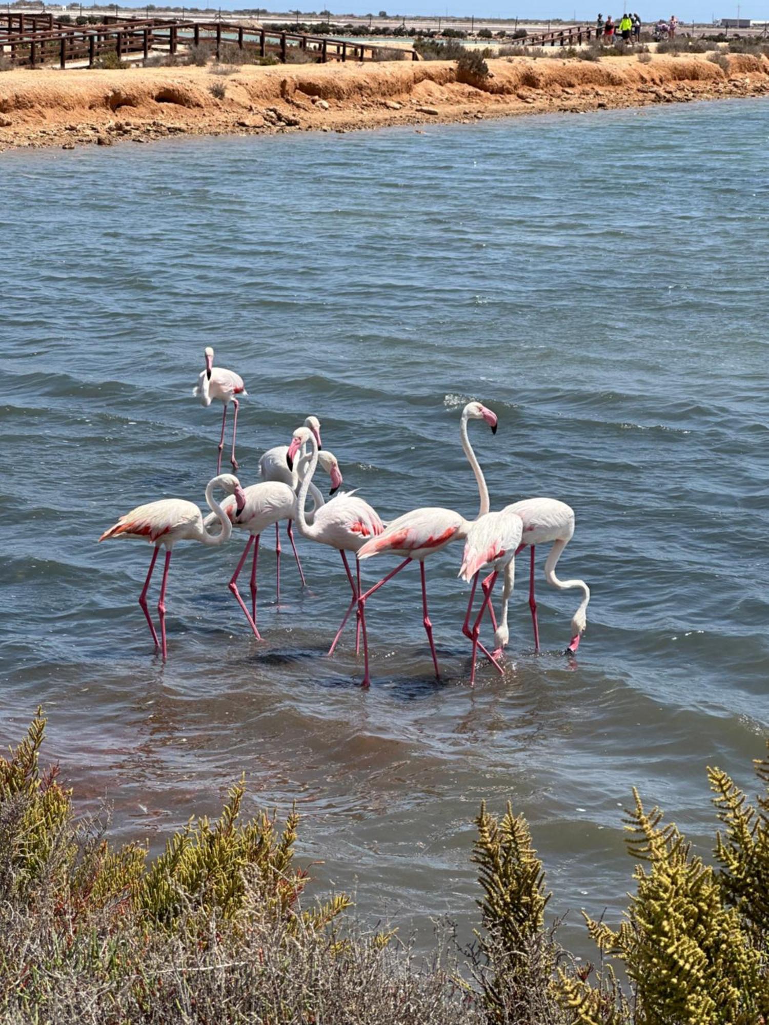 Mar Menor Paradise By Los Pinos Holidays سان بيذرو ذيل بيناتا المظهر الخارجي الصورة